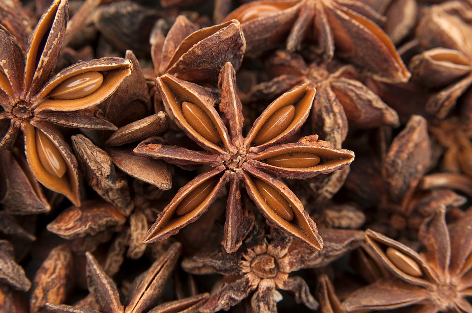 FIND OUT MORE ABOUT STAR ANISE