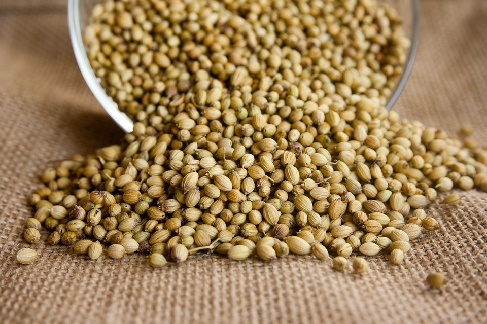 FIND OUT MORE ABOUT CORIANDER