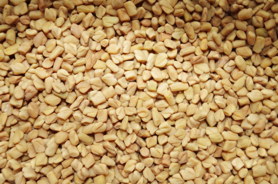 FIND OUT MORE ABOUT FENUGREEK
