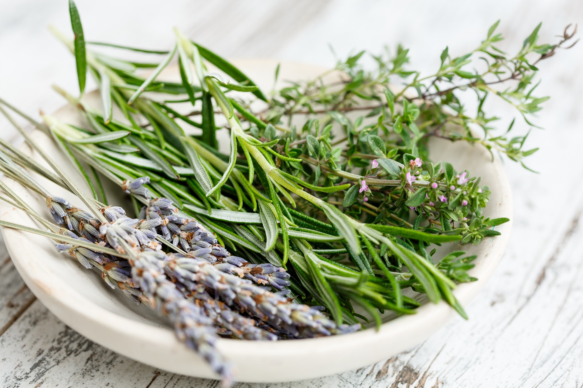 FIND OUT MORE ABOUT HERBES DE PROVENCE