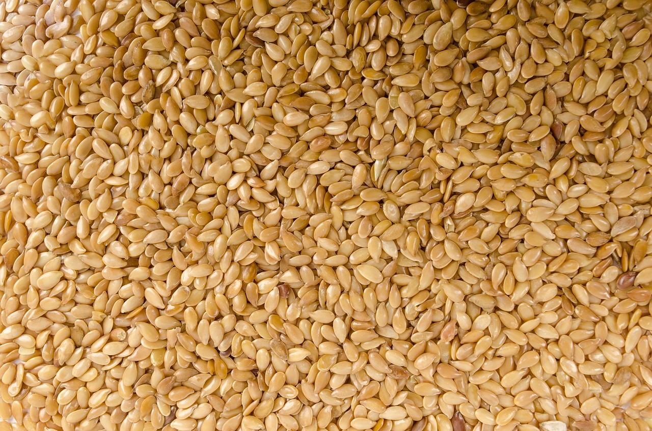 FIND OUT MORE ABOUT WHITE SESAME