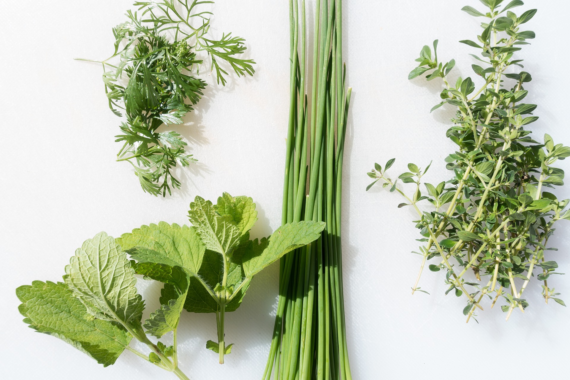 FIND OUT MORE ABOUT MIXED HERBS